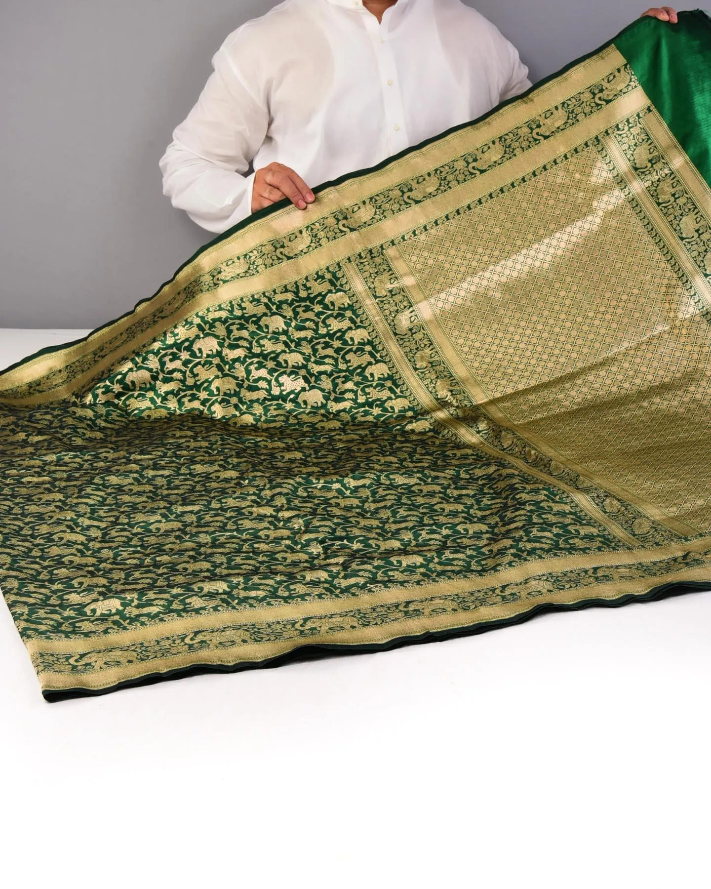 Sacramento Green Banarasi Shikargah Cutwork Brocade Handwoven Katan Silk Saree with Elephant Trail Border