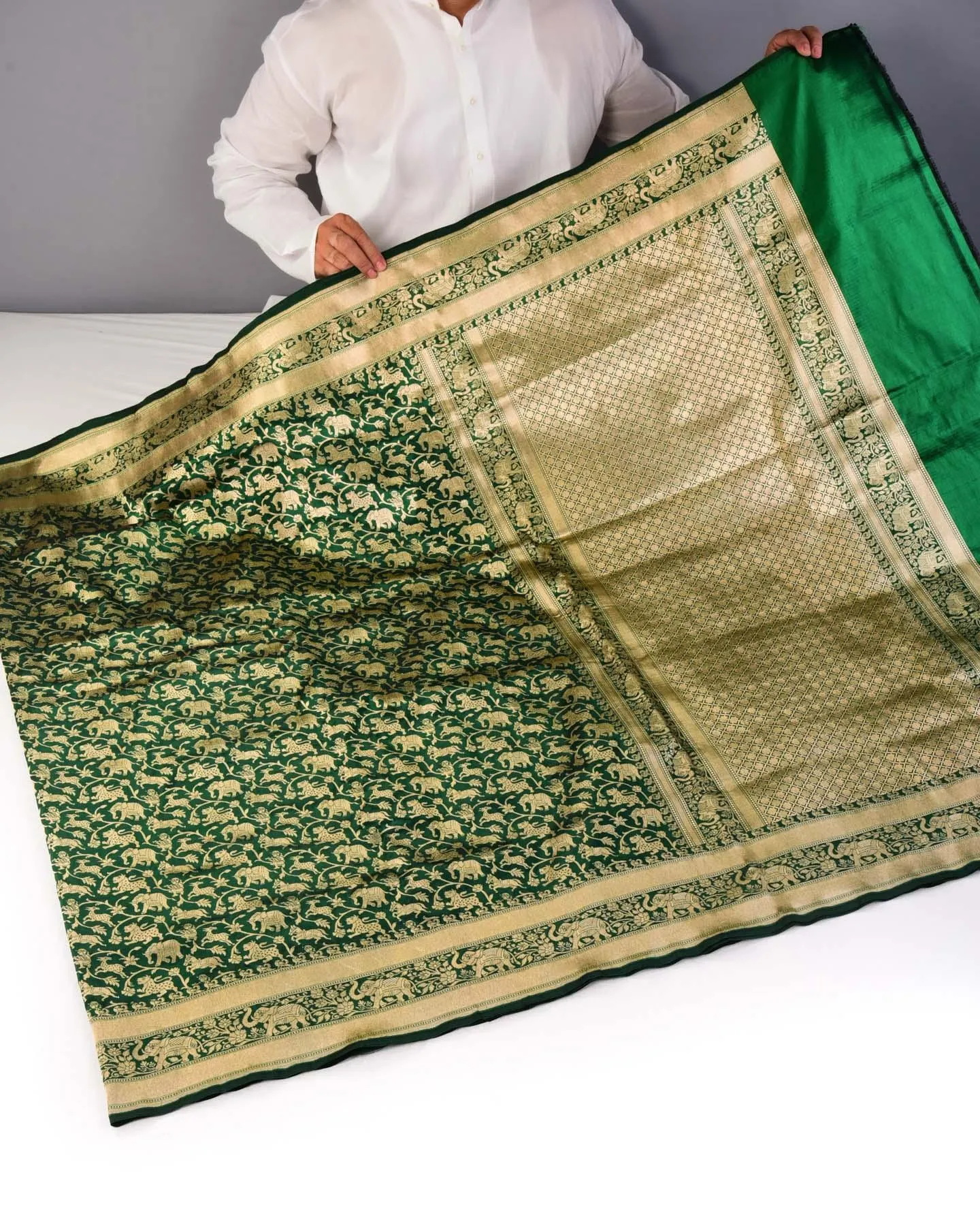 Sacramento Green Banarasi Shikargah Cutwork Brocade Handwoven Katan Silk Saree with Elephant Trail Border